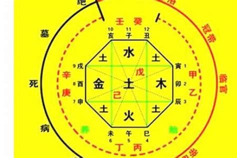 五行樓層|通俗易懂——根據五行喜忌和生肖選擇樓層風水